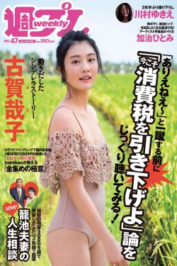 偷偷藏不住电视剧主演